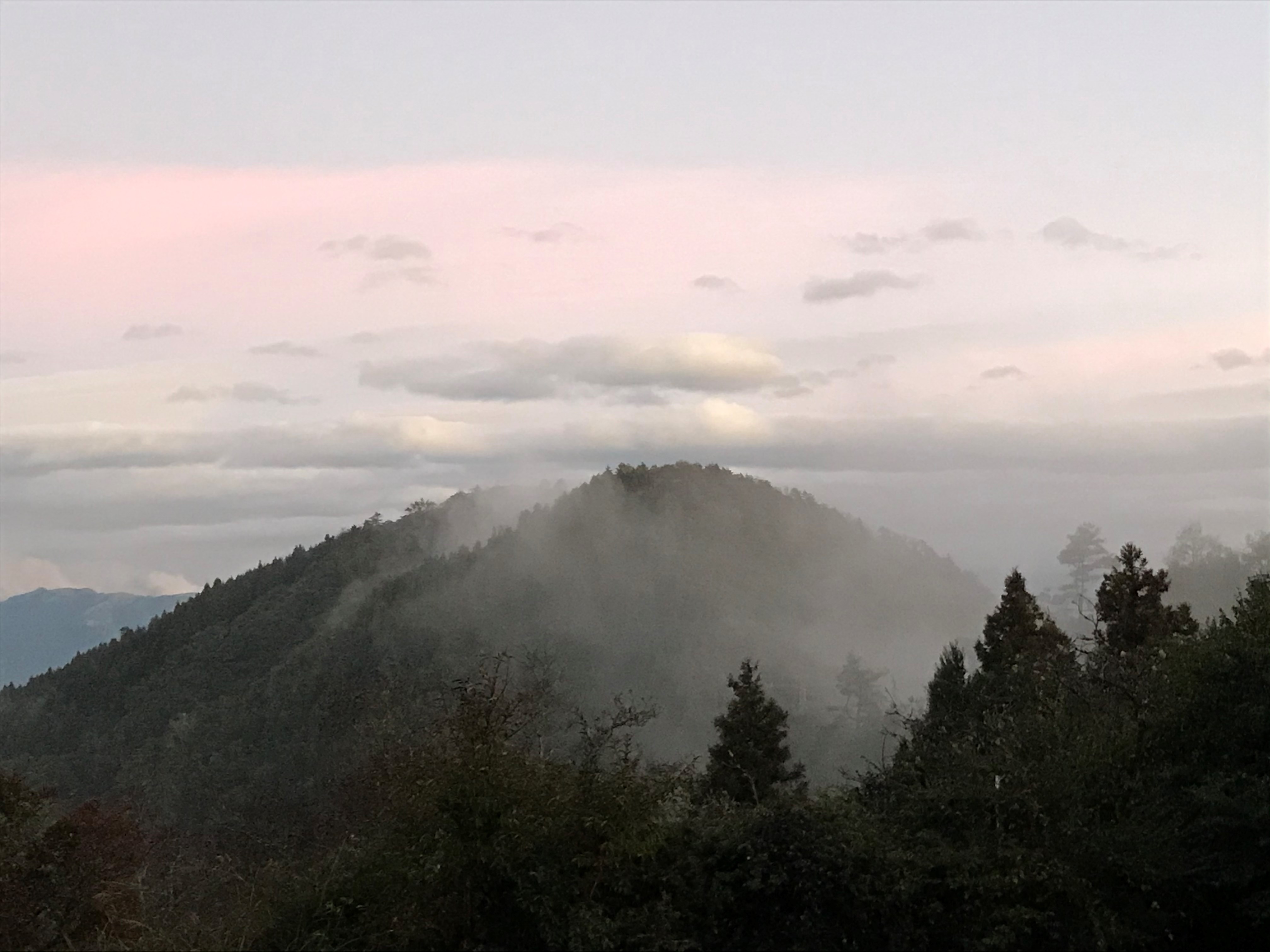 觀霧國家森林遊樂區地處於臺灣山區中海拔雲霧帶,林相屬於溫暖帶針闊葉混合林