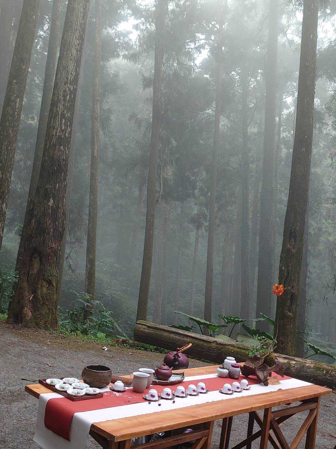 雲霧繚繞宛如仙境的森林茶席