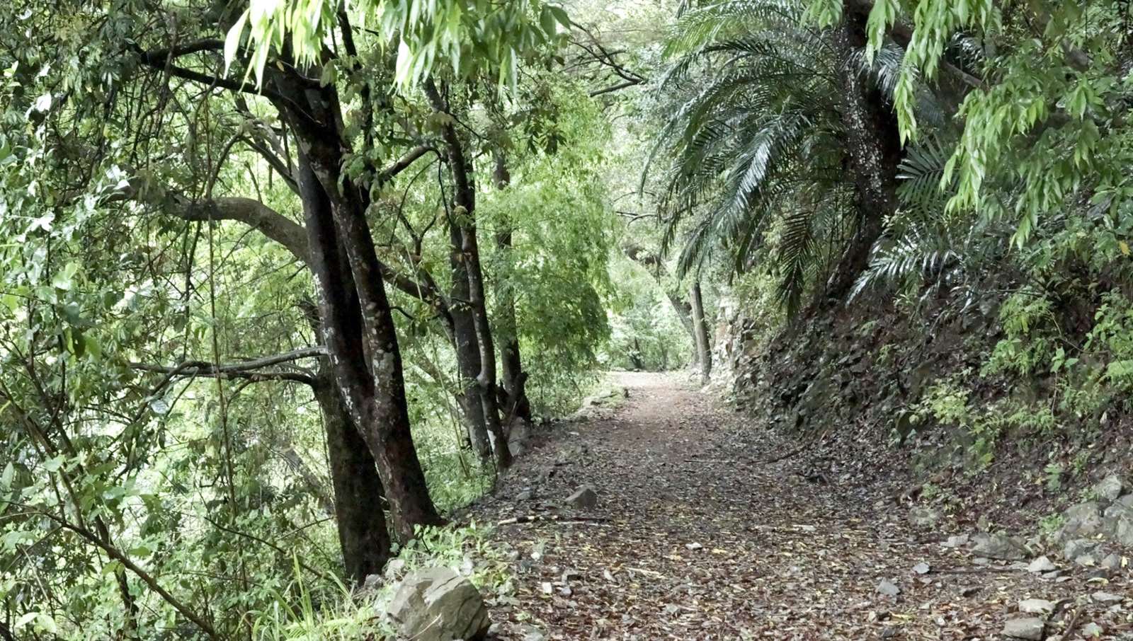 久良栖療癒步道
