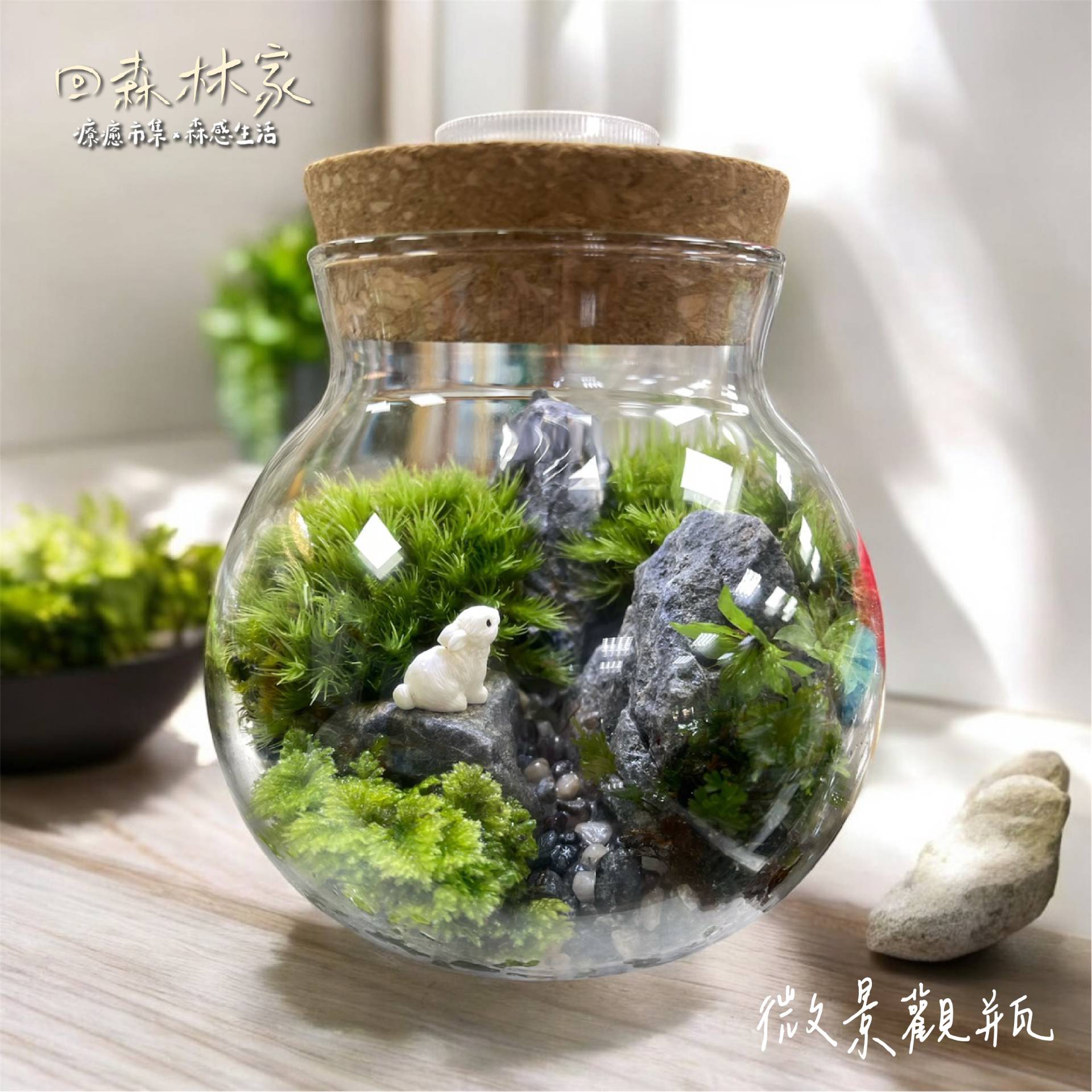 2025回森林家_微景觀瓶手作DIY