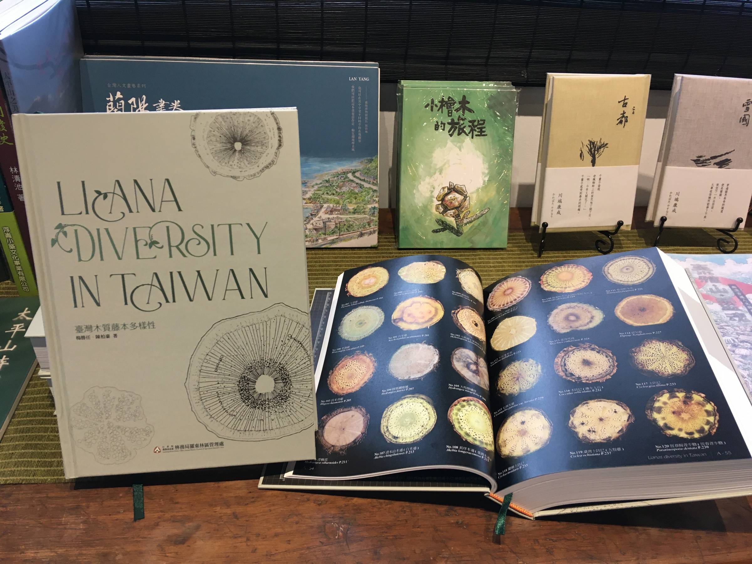 臺灣木質藤本植物介紹與標本製作課程