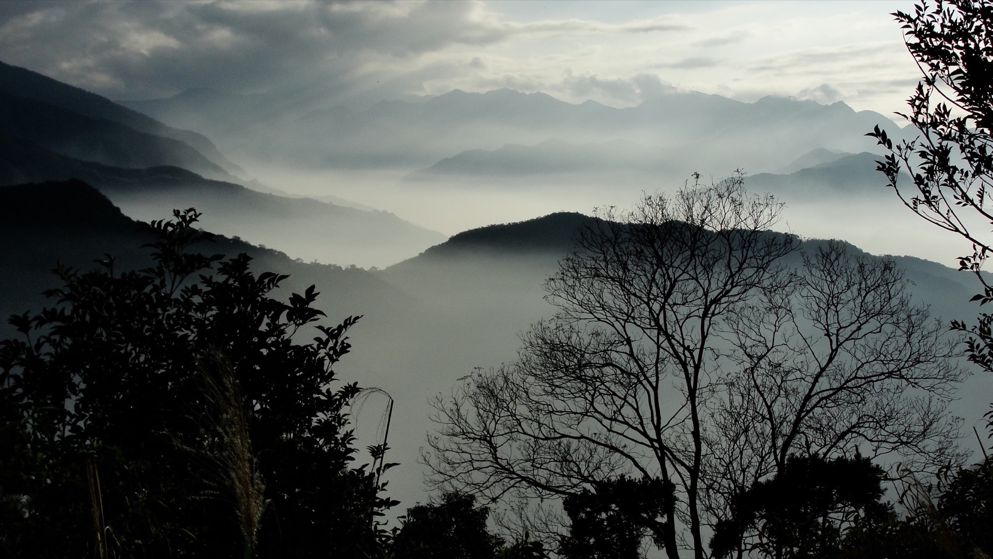 東眼山渺渺群山