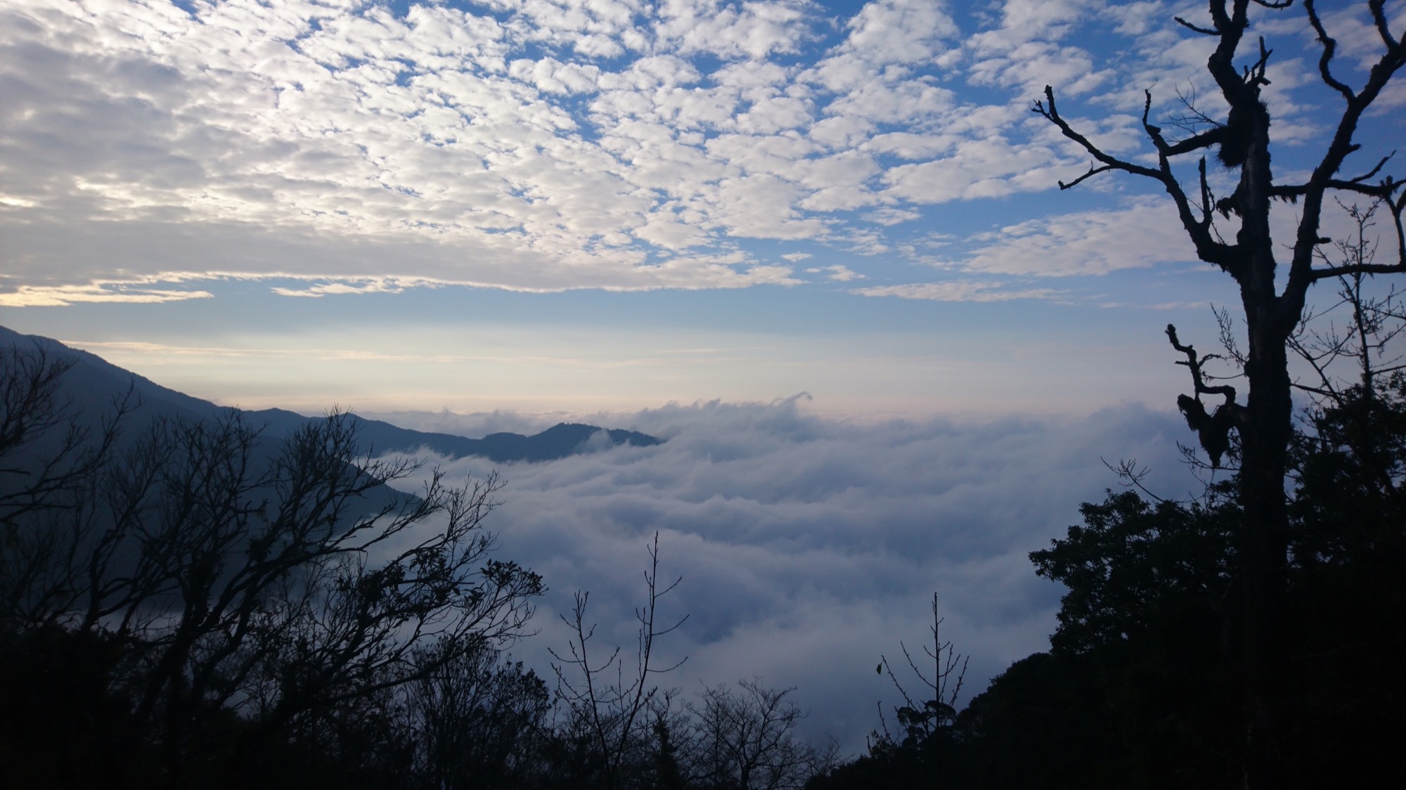 觀霧國家森林遊樂區雲海