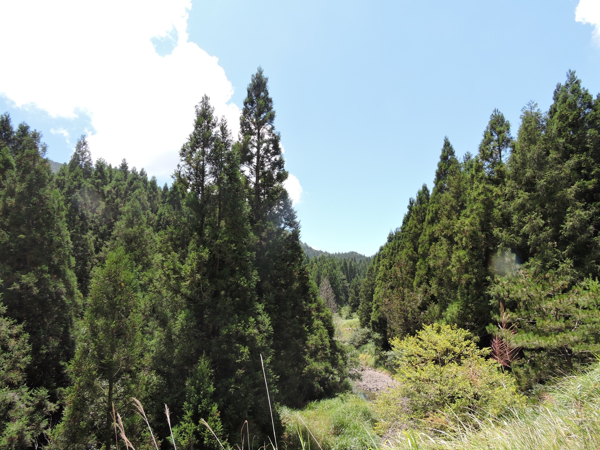 榛山步道