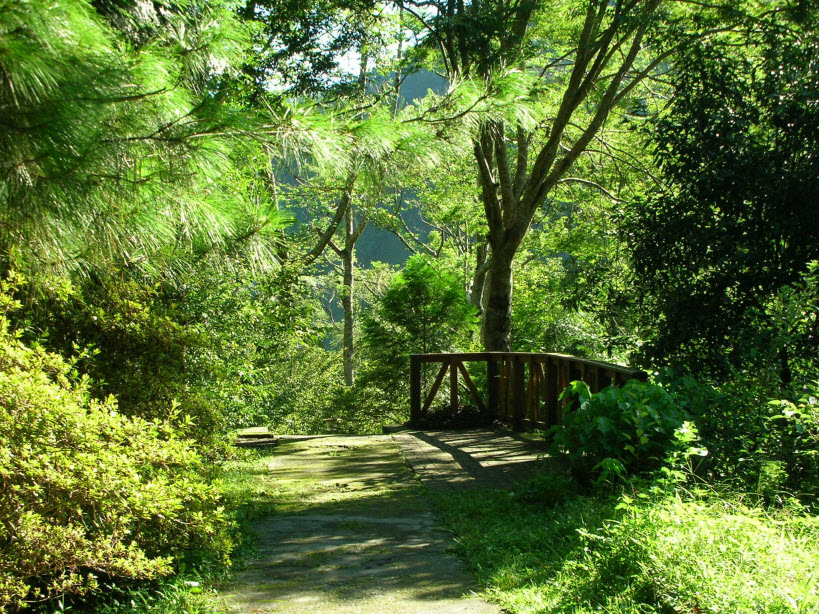 八仙山-森林浴步道