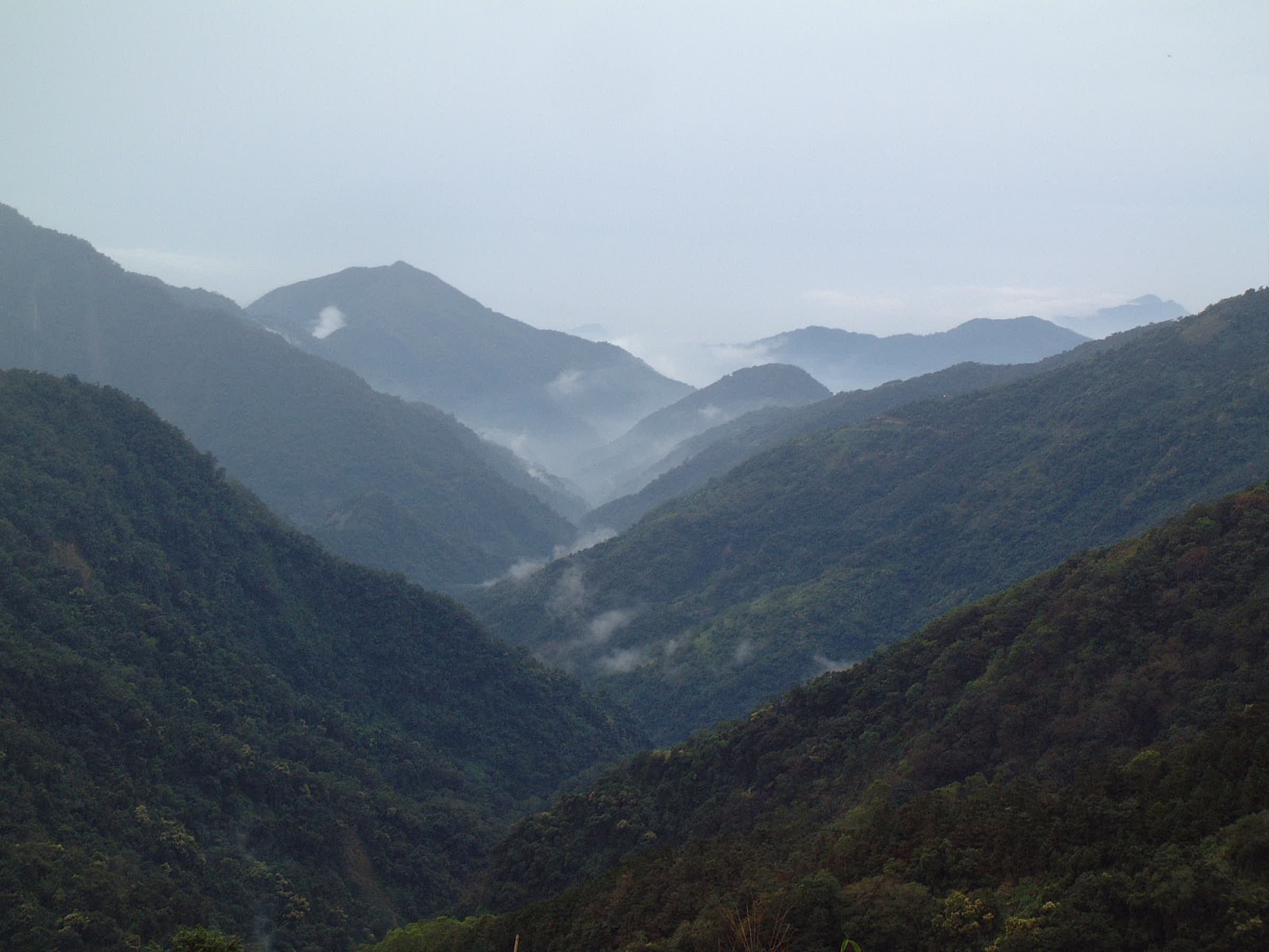 藤枝國家森林遊樂區山景