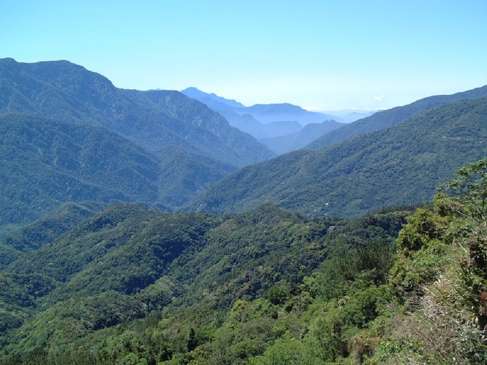 藤枝國家森林遊樂區山景