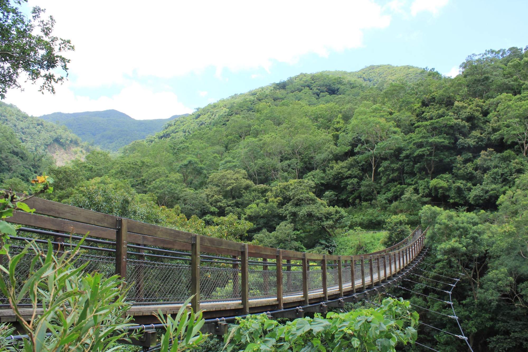 沿山吊橋