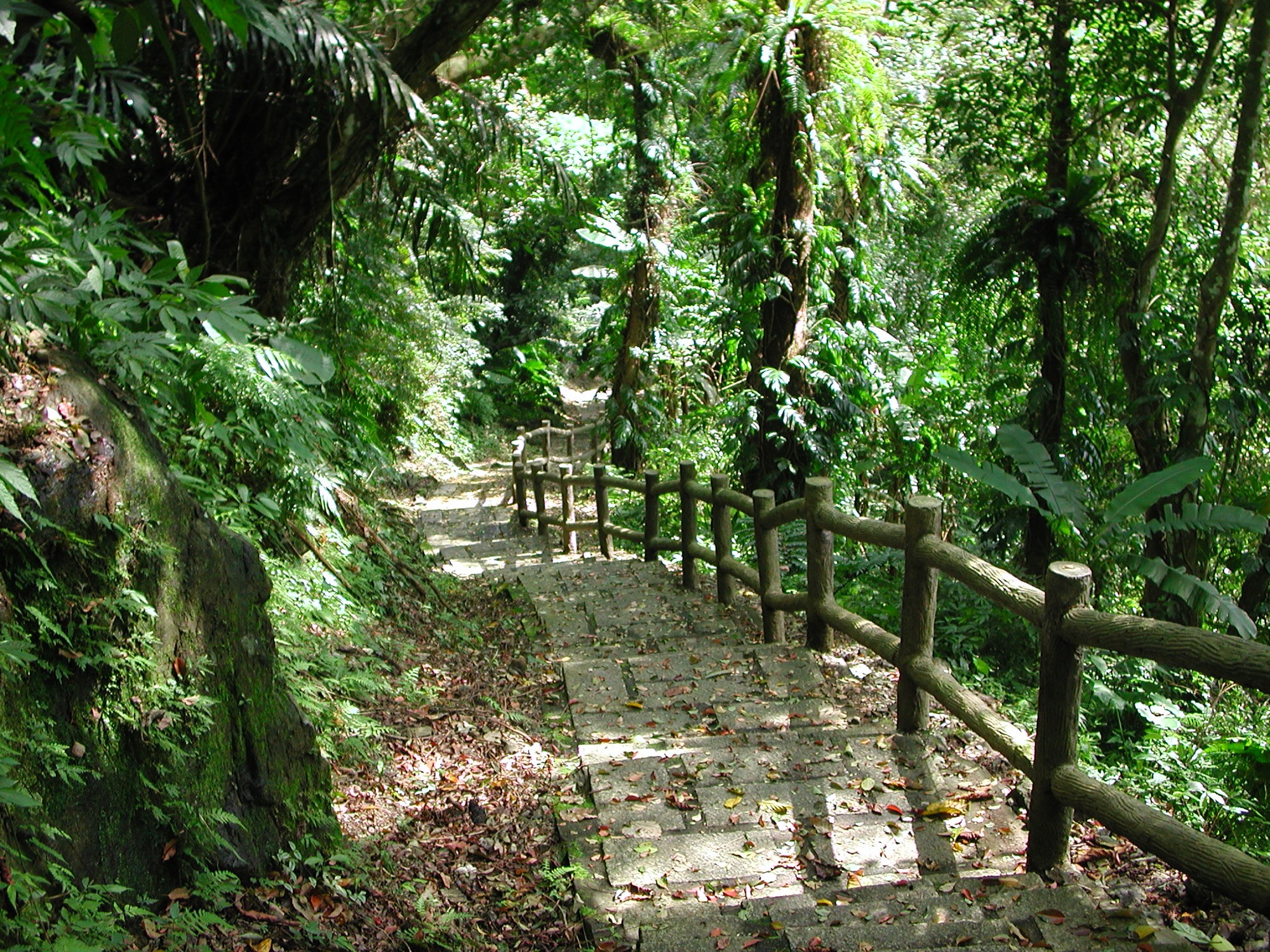 環山步道