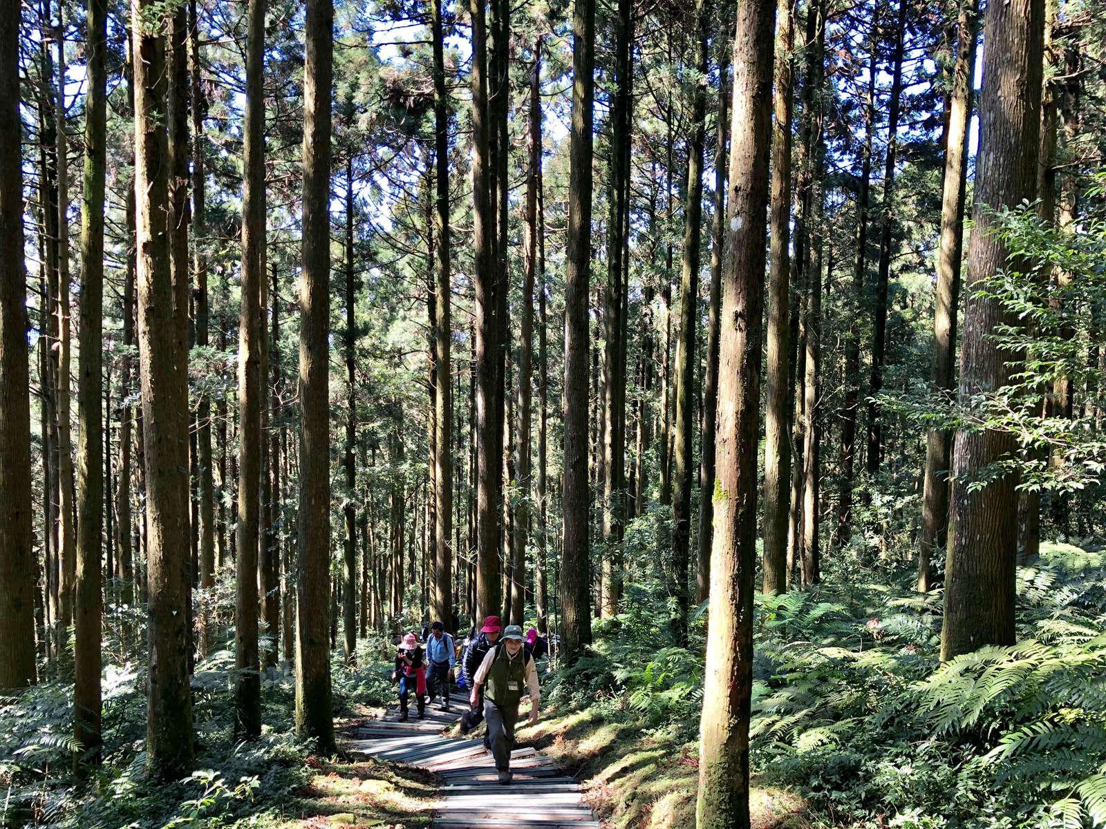 自導式步道