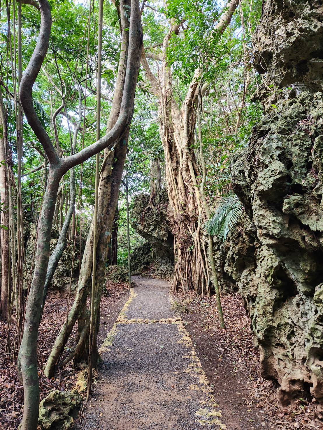 First tourist area trail
