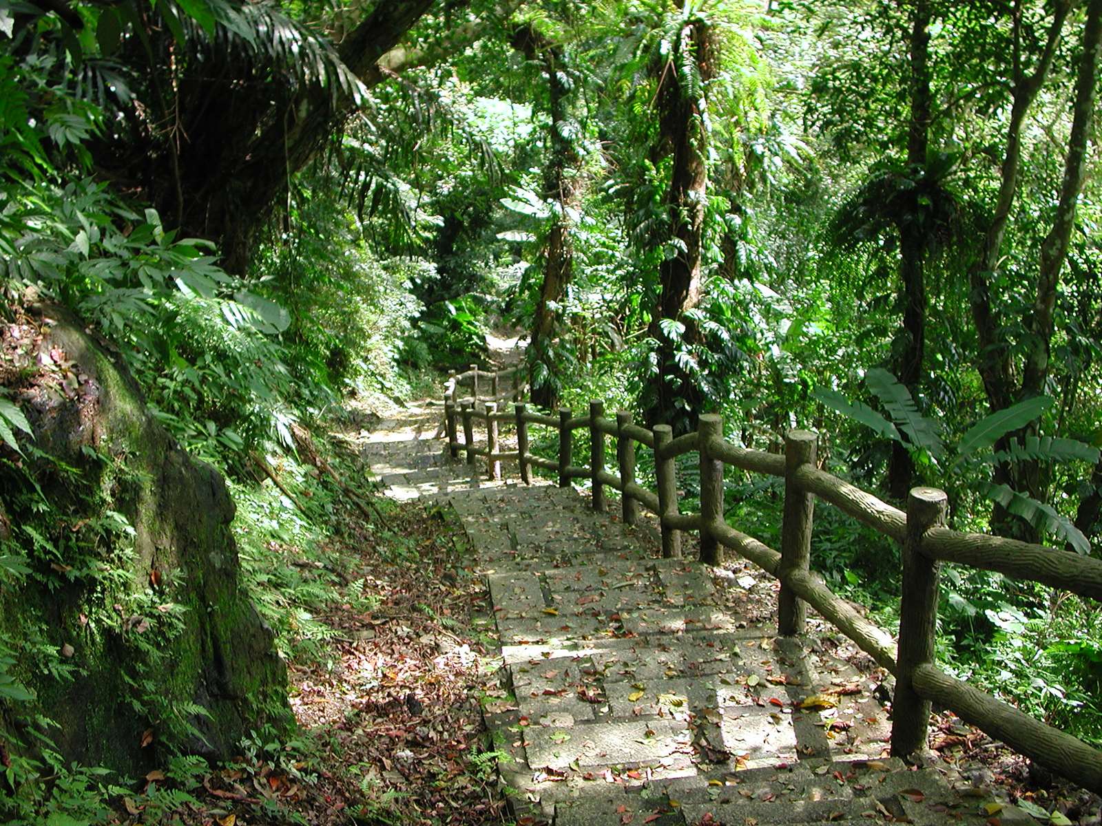 景觀步道