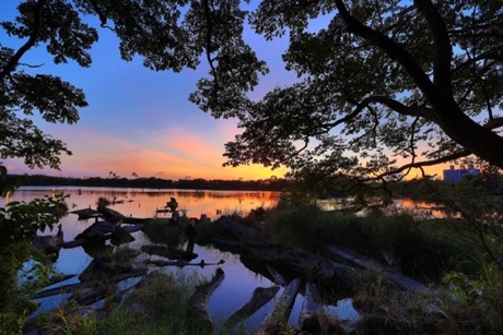 羅東林業文化園區-貯木池的夕陽景觀
