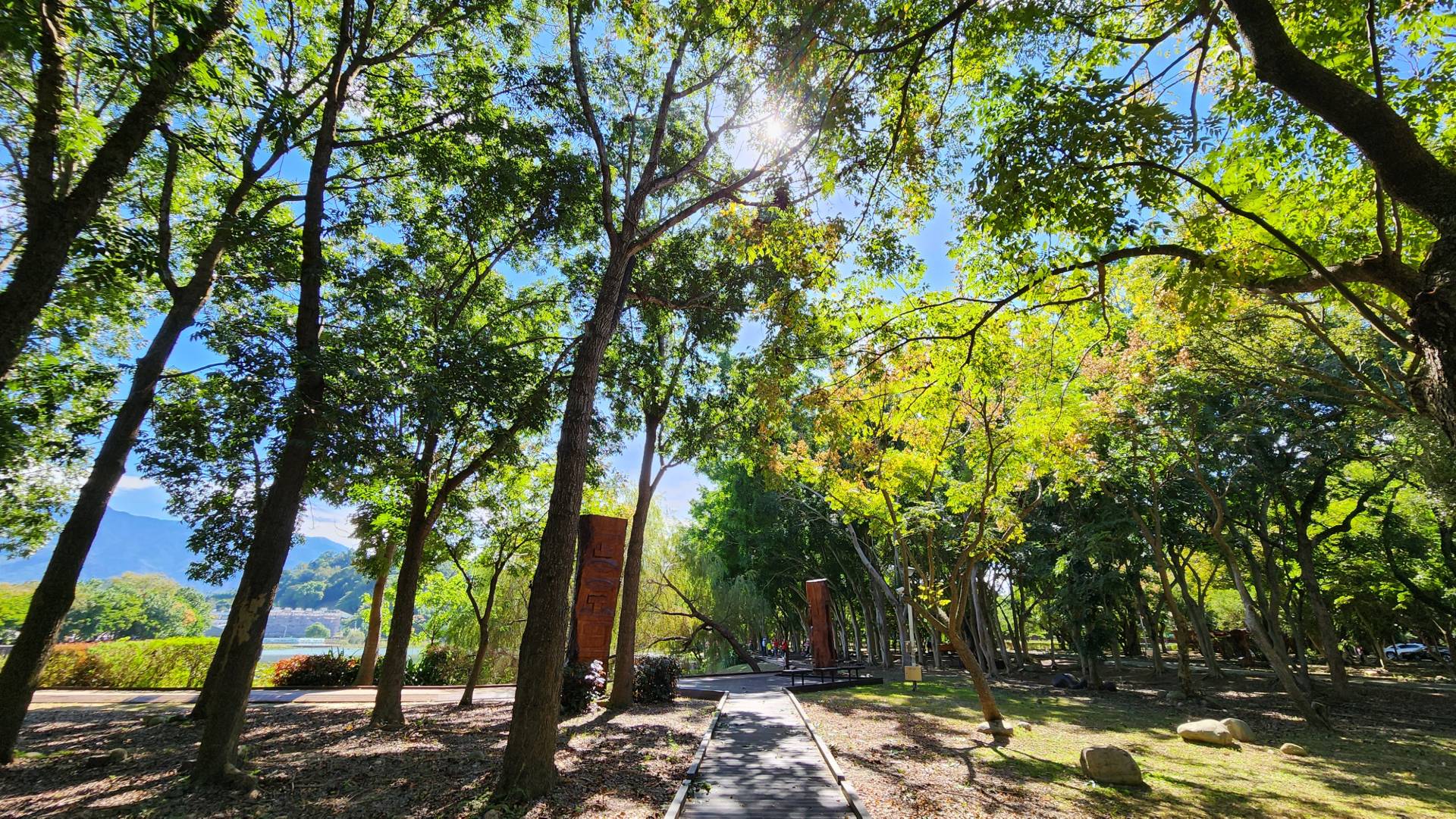 園區林蔭及環池木棧道