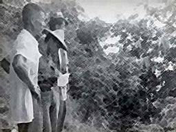 1910年到1925年臺灣總督府首次全臺大規模林野調查