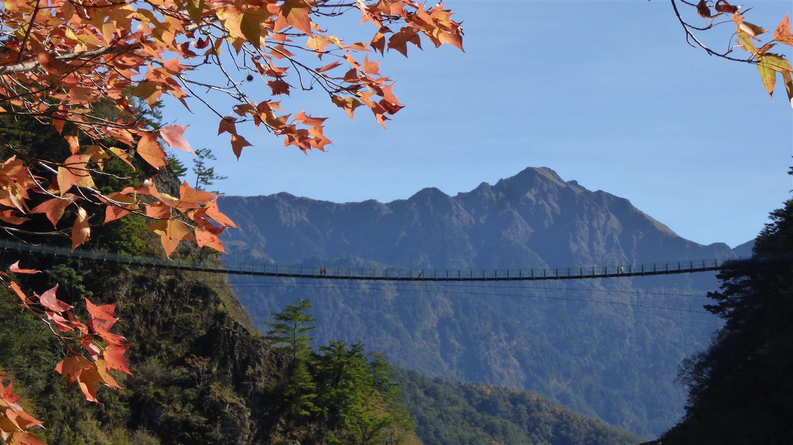 奧萬大吊橋