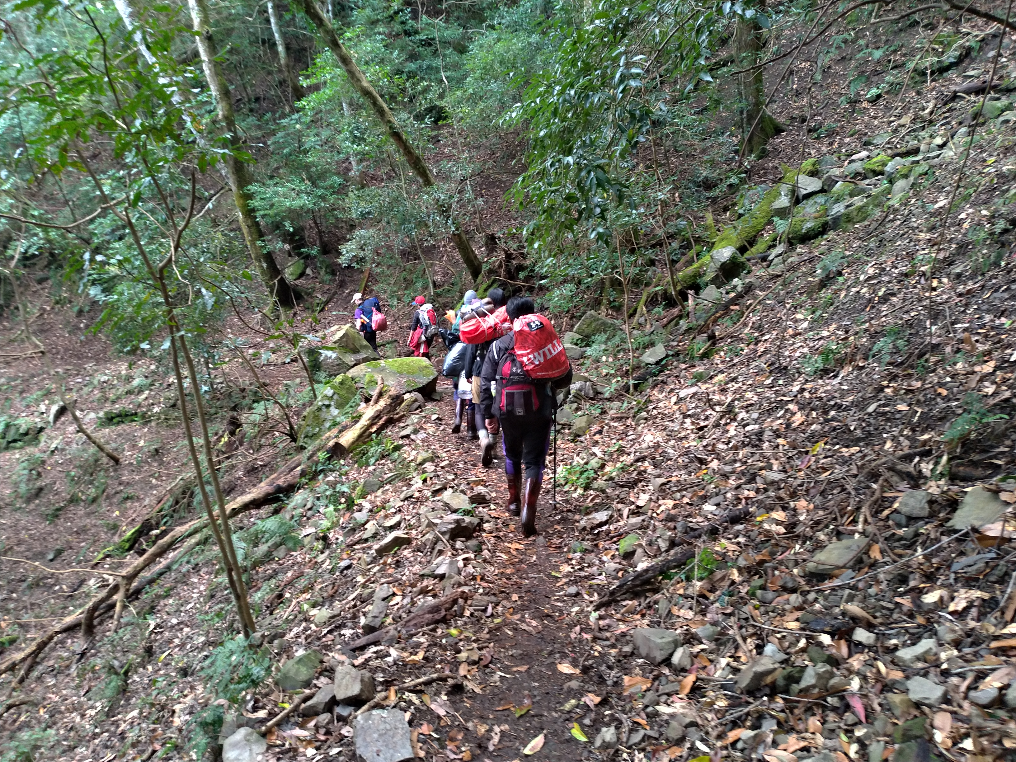 近幾年登山已成為熱門活動