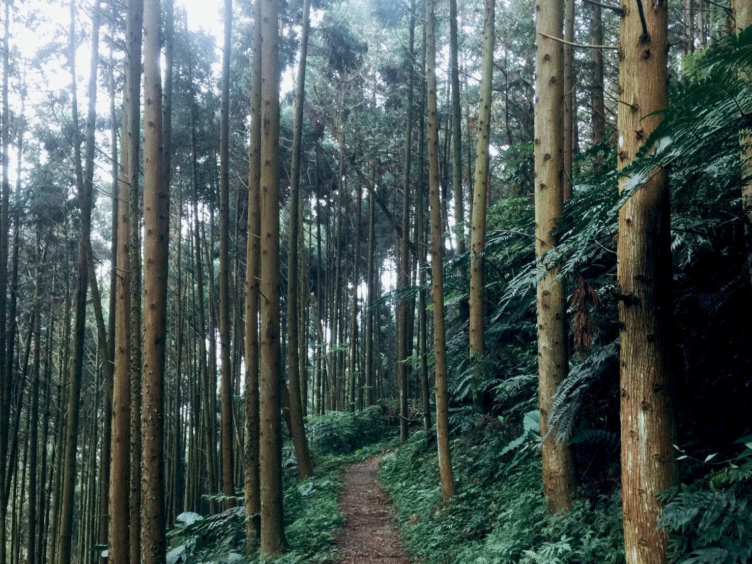 白蘭溪古道