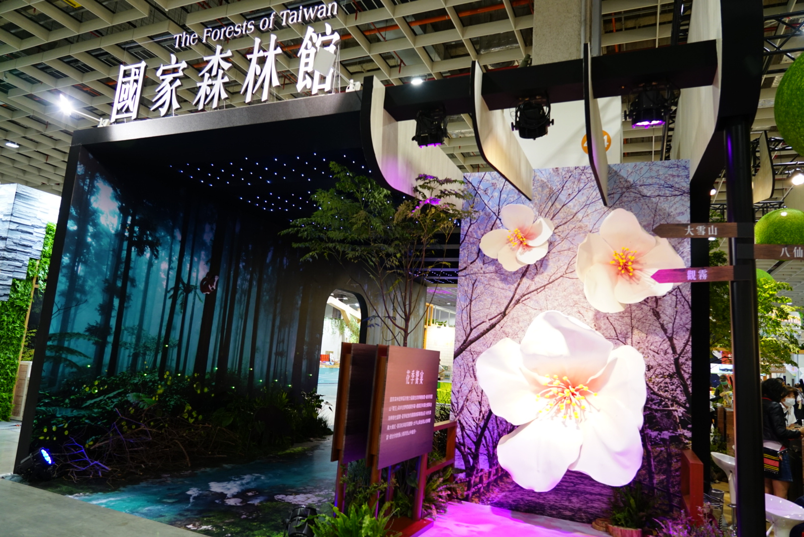 國家森林館ㄧ隅