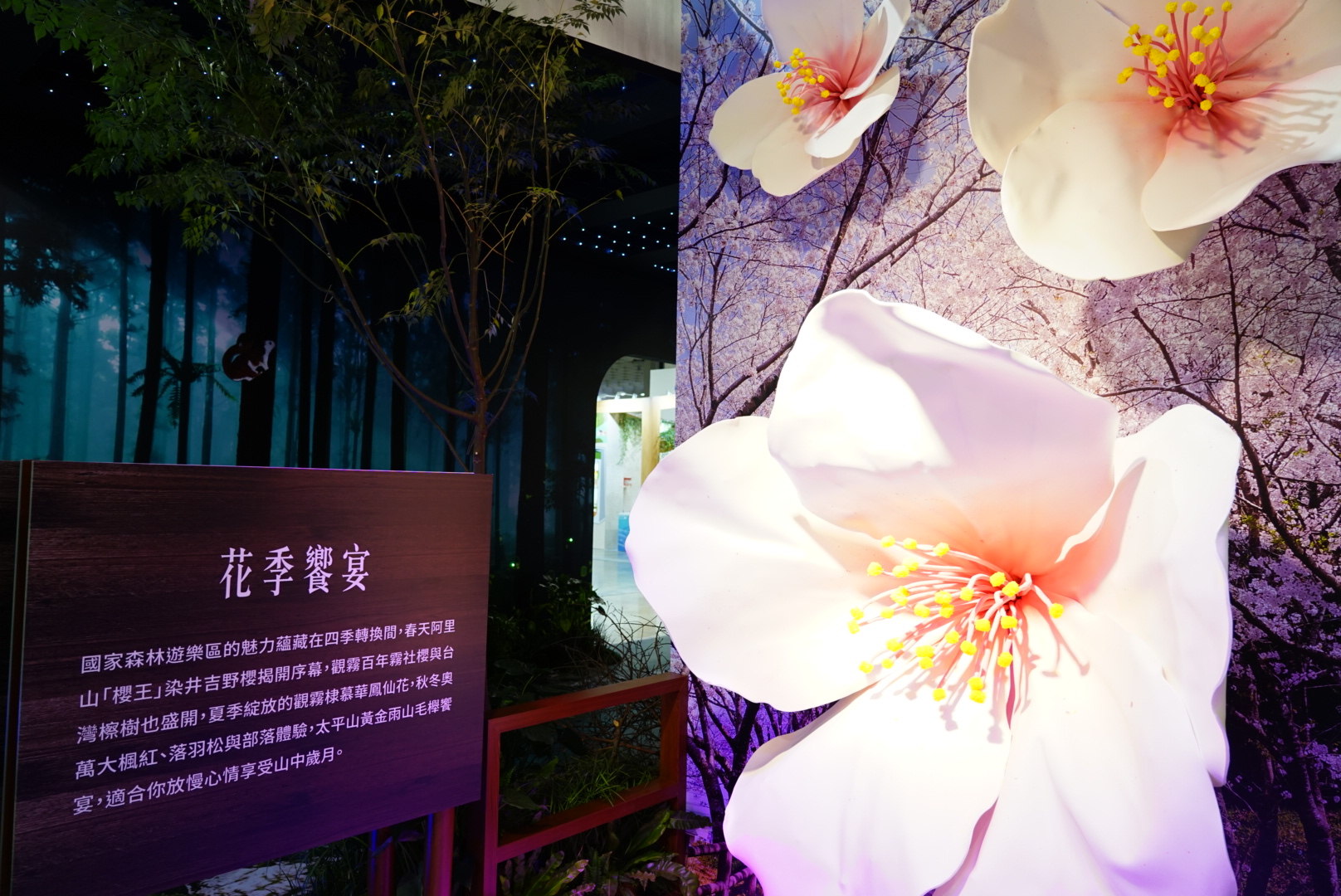 國家森林館ㄧ隅