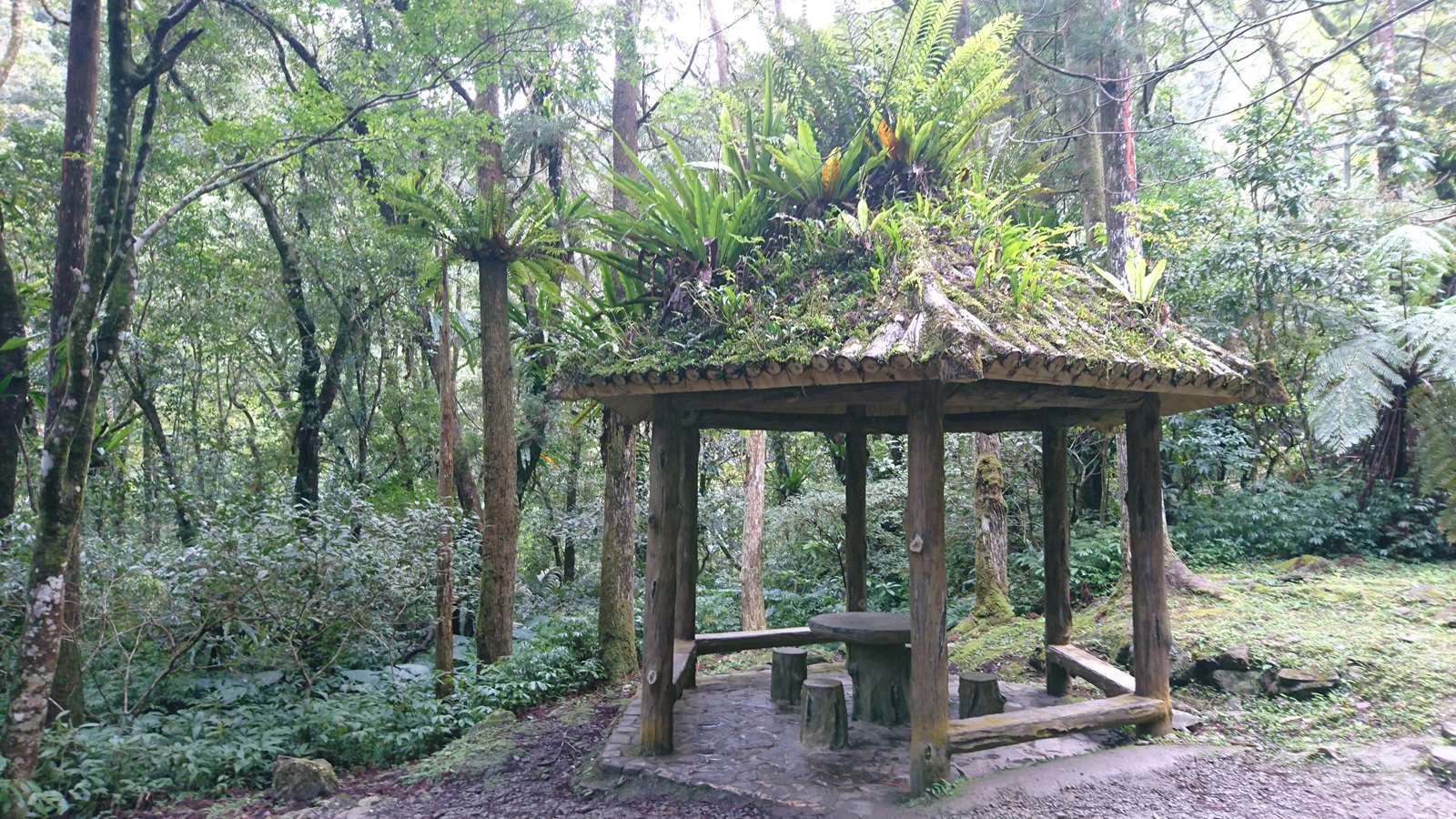 滿月圓步道涼亭