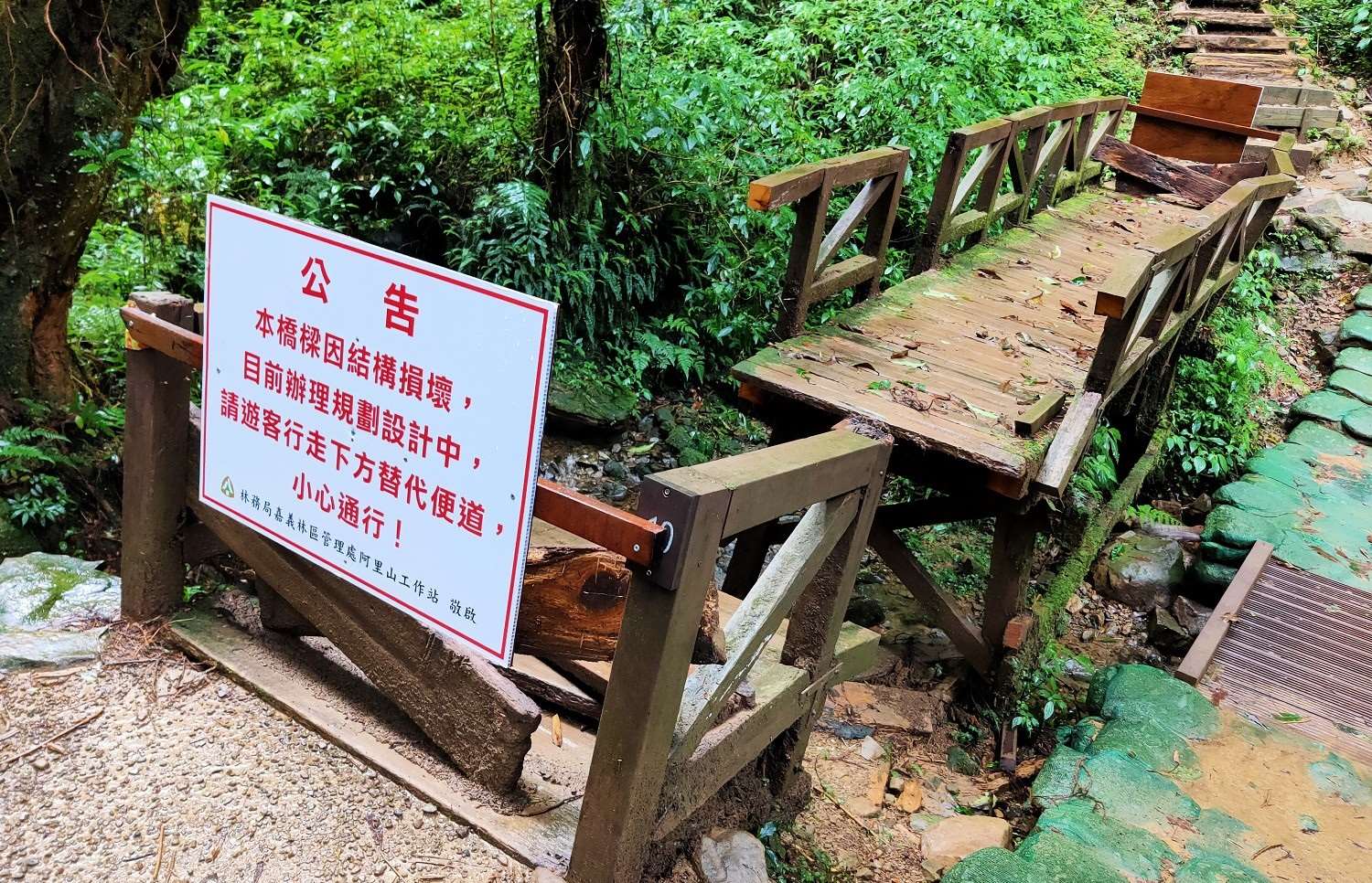 步道內結構損毀的木造橋樑已暫時封閉