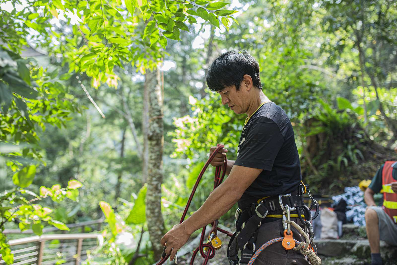 東勢林區管理處麗陽工作站孫嘉祥護管員，準備攀上超高枯木，進行危木移除。