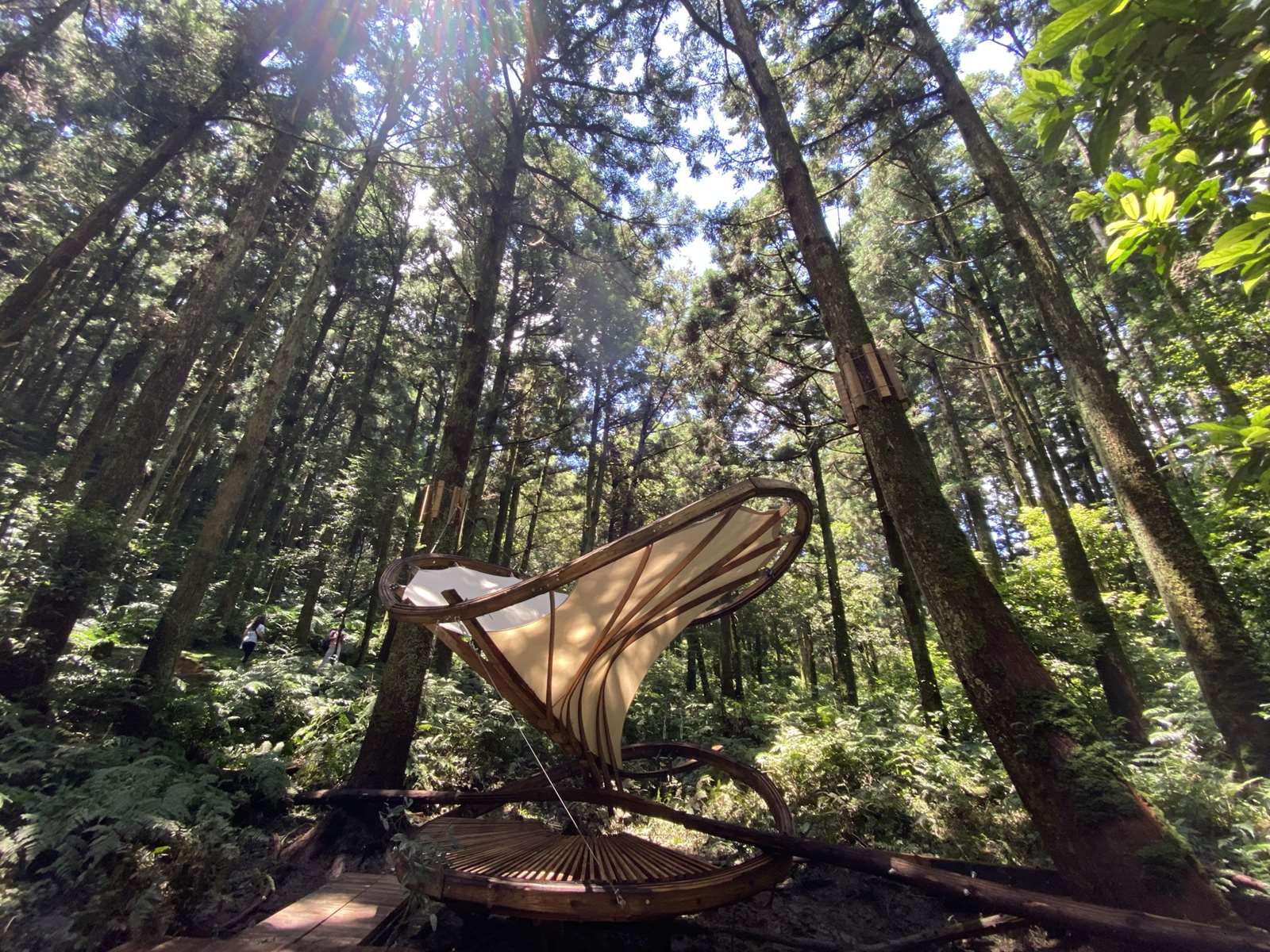 悠遊東眼山國家森林遊樂區感受木構與環境共寫的藝術篇章