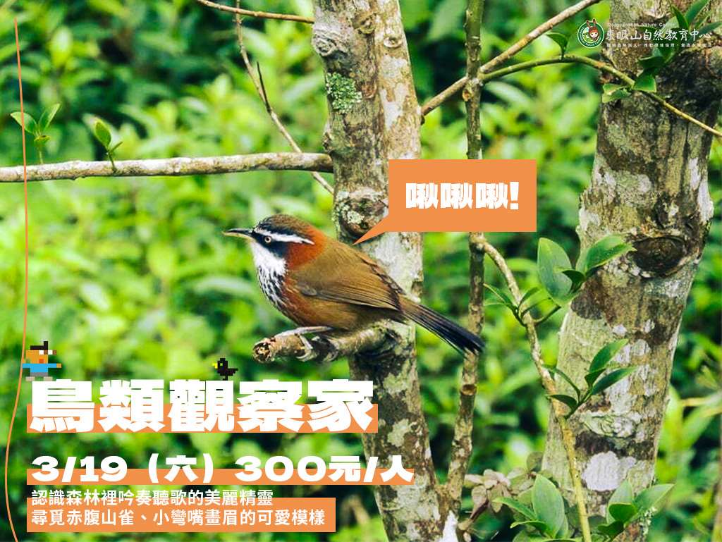 鳥類觀察家宣傳海報(預先報名)