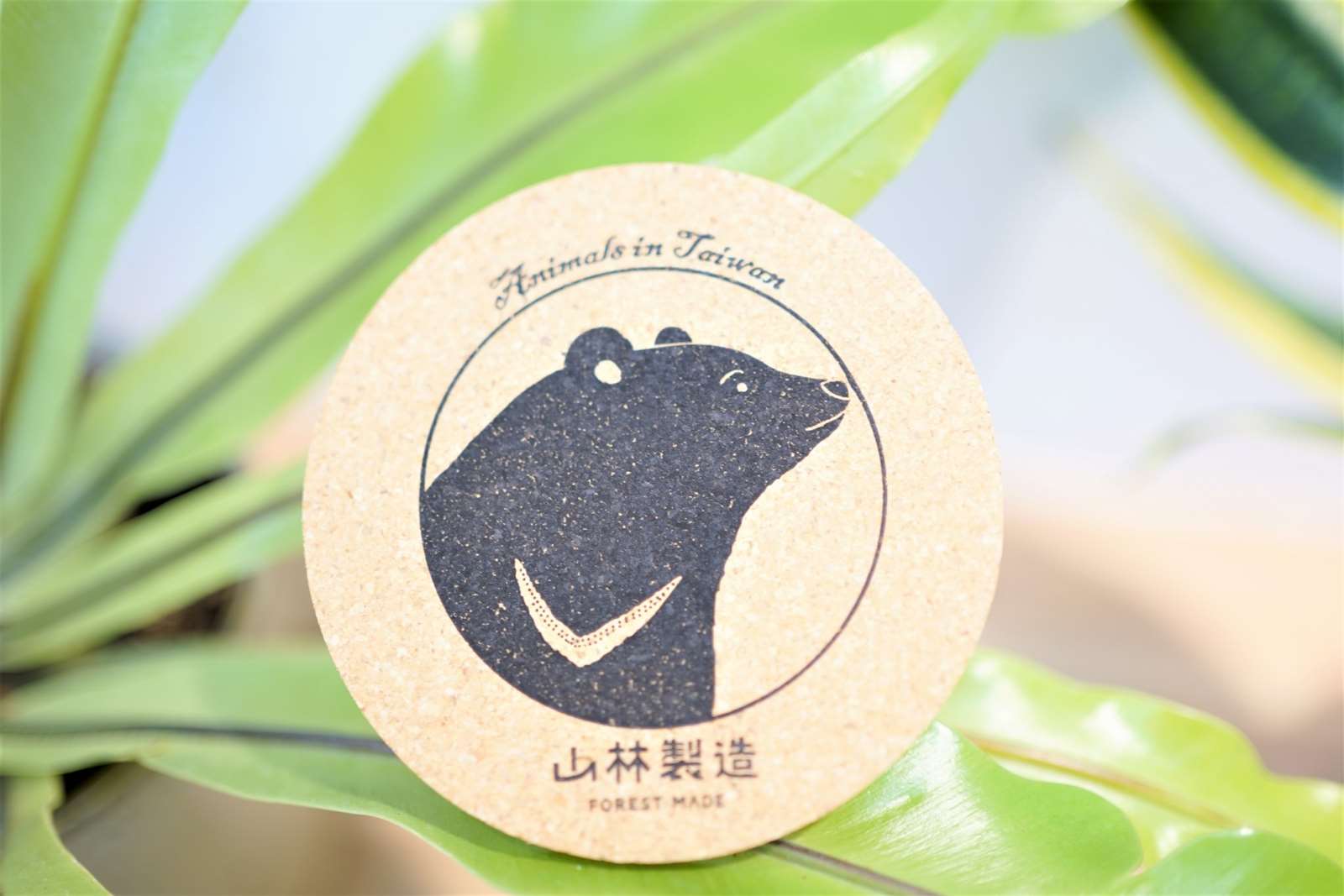 臺灣動物軟木杯墊-臺灣黑熊款