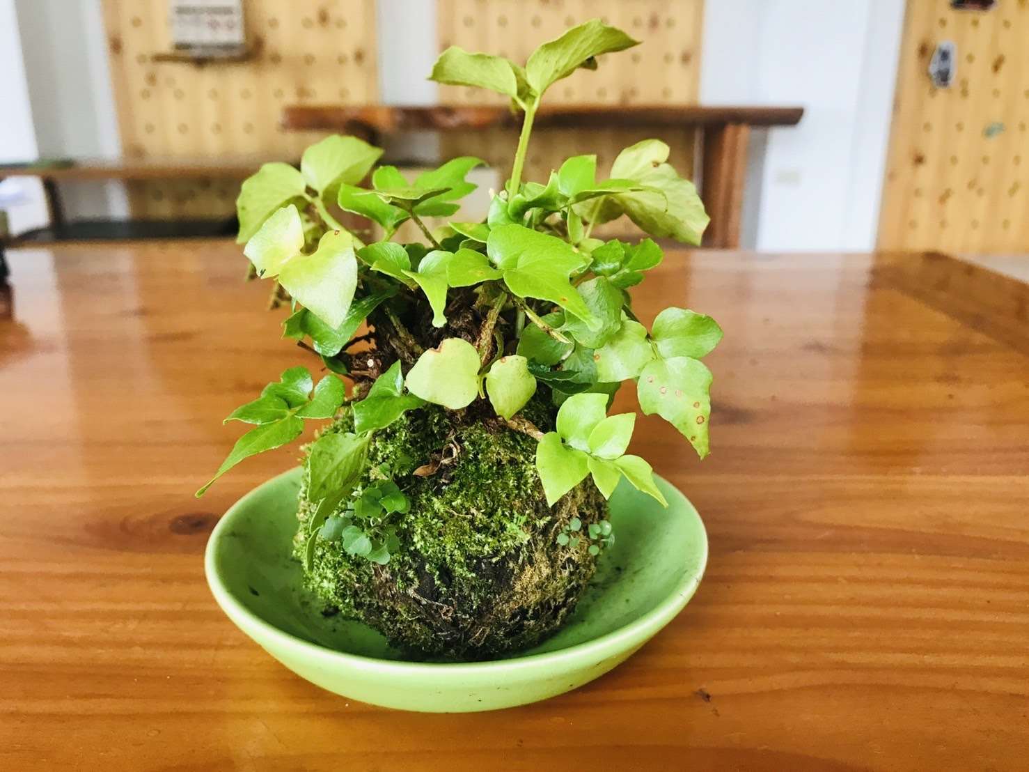 將東眼山縮影帶回家