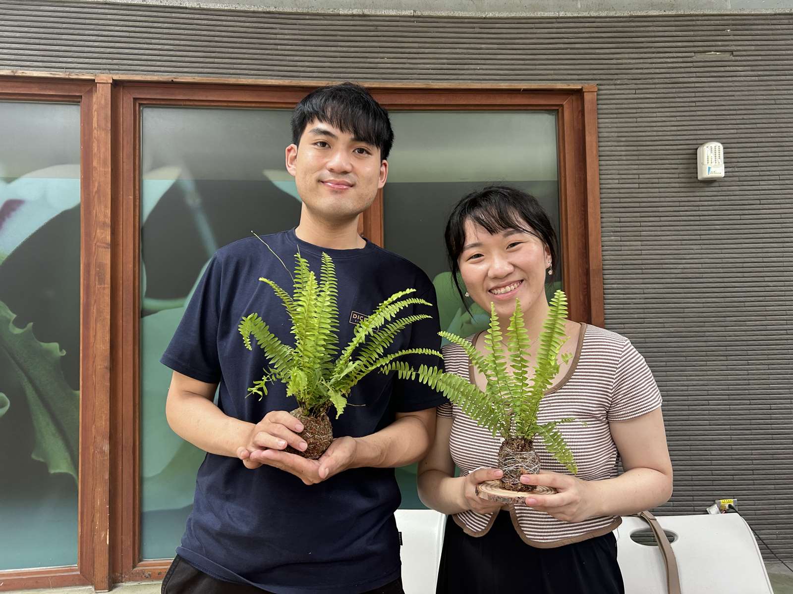  民眾展示自製苔球