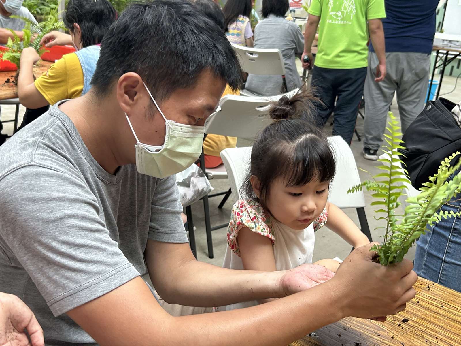 親子共同製作苔球