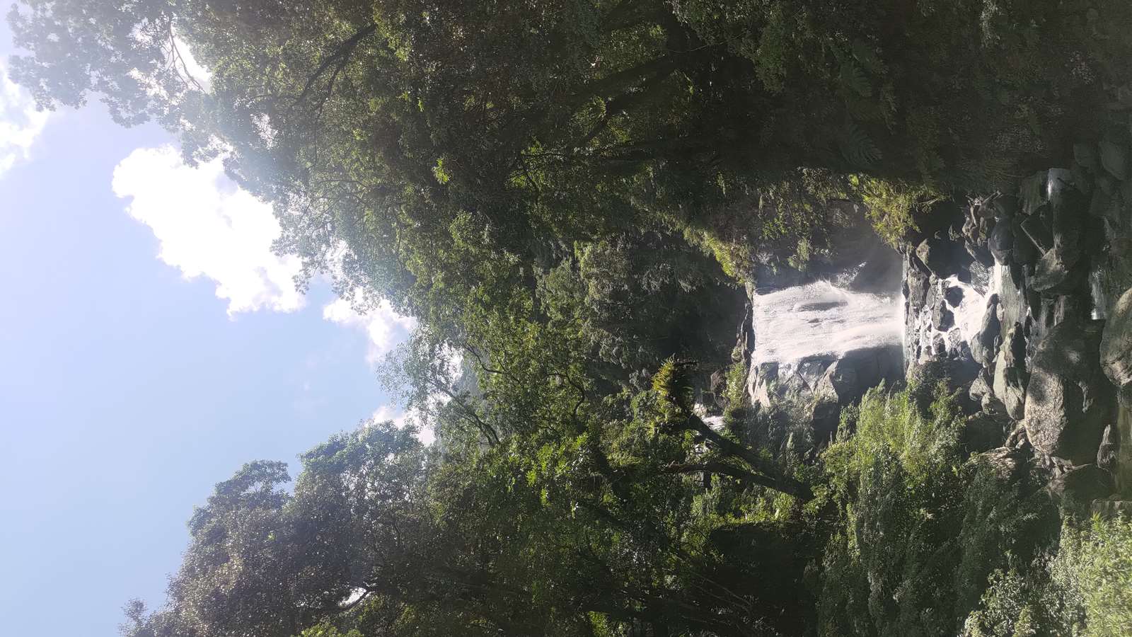 內洞國家森林遊樂區瀑布