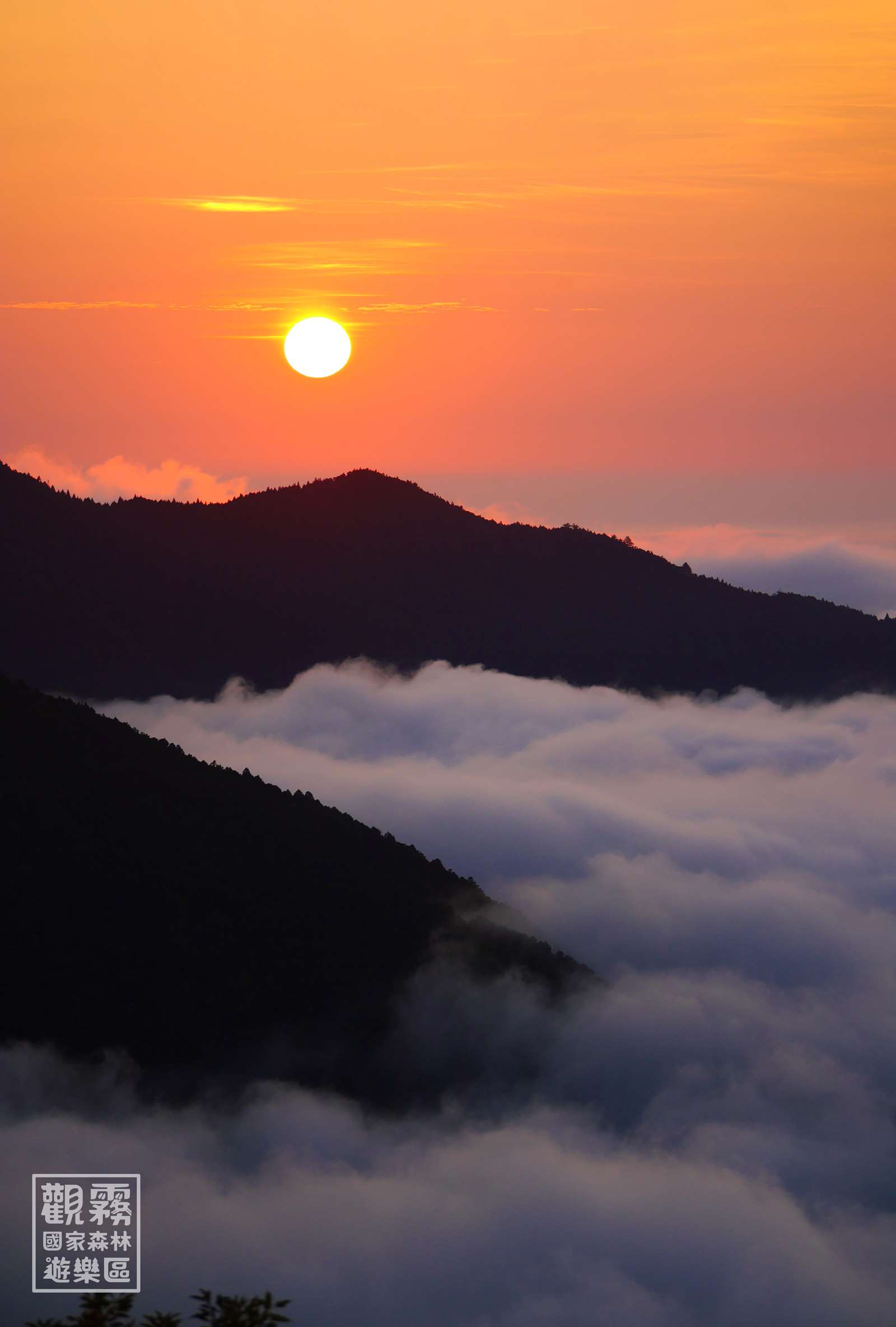 「觀霧」主題：展現在觀霧迷人的雲海及雲霧景緻；觀霧爺巴堪溪雲海與夕陽，令人心醉神迷。