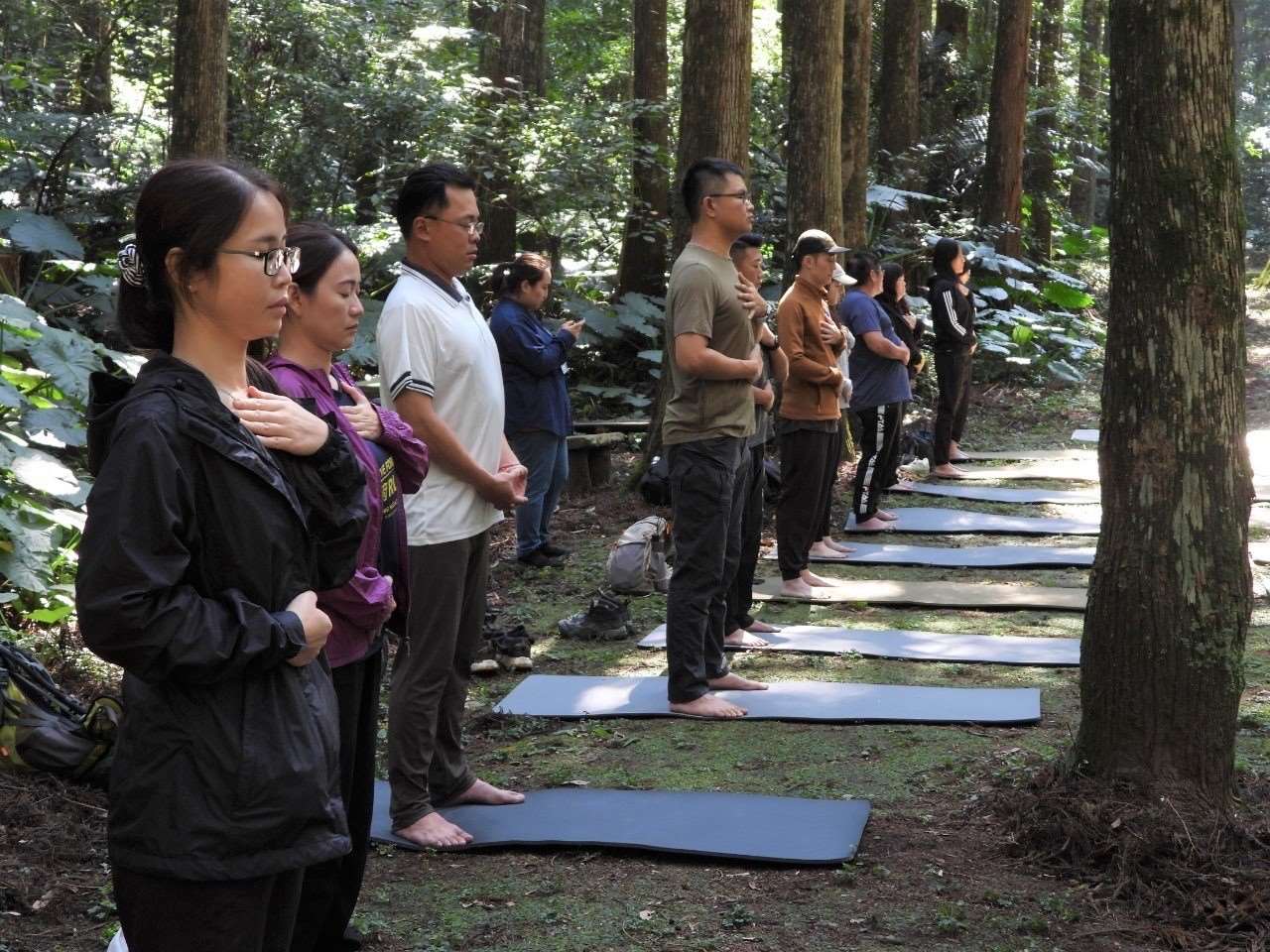 癒見森林_森林的瑜珈課