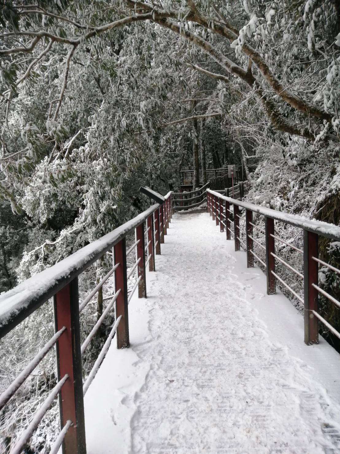 拉拉山國家森林遊樂區雪景