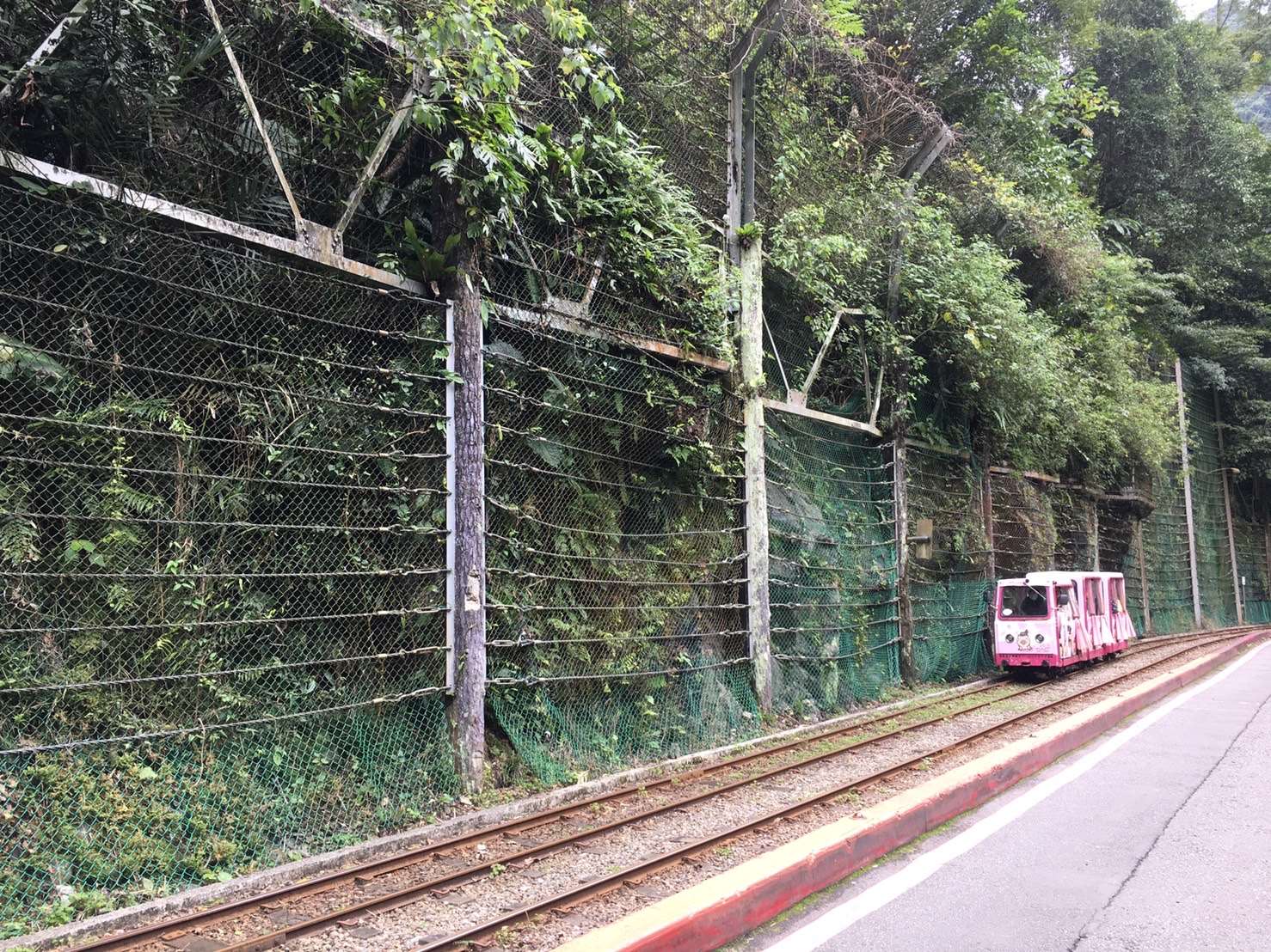 即將進行烏來台車軌道旁防落石網修繕工程