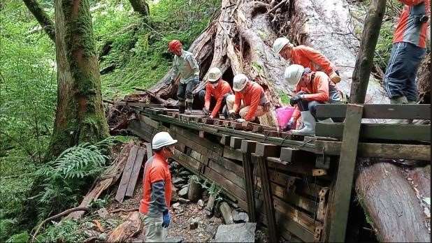 環境維護志工完成拉拉山國家森林遊樂區巨木步道改道