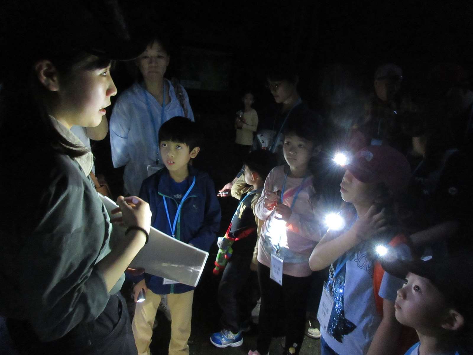 達人帶領認識螢火蟲生態