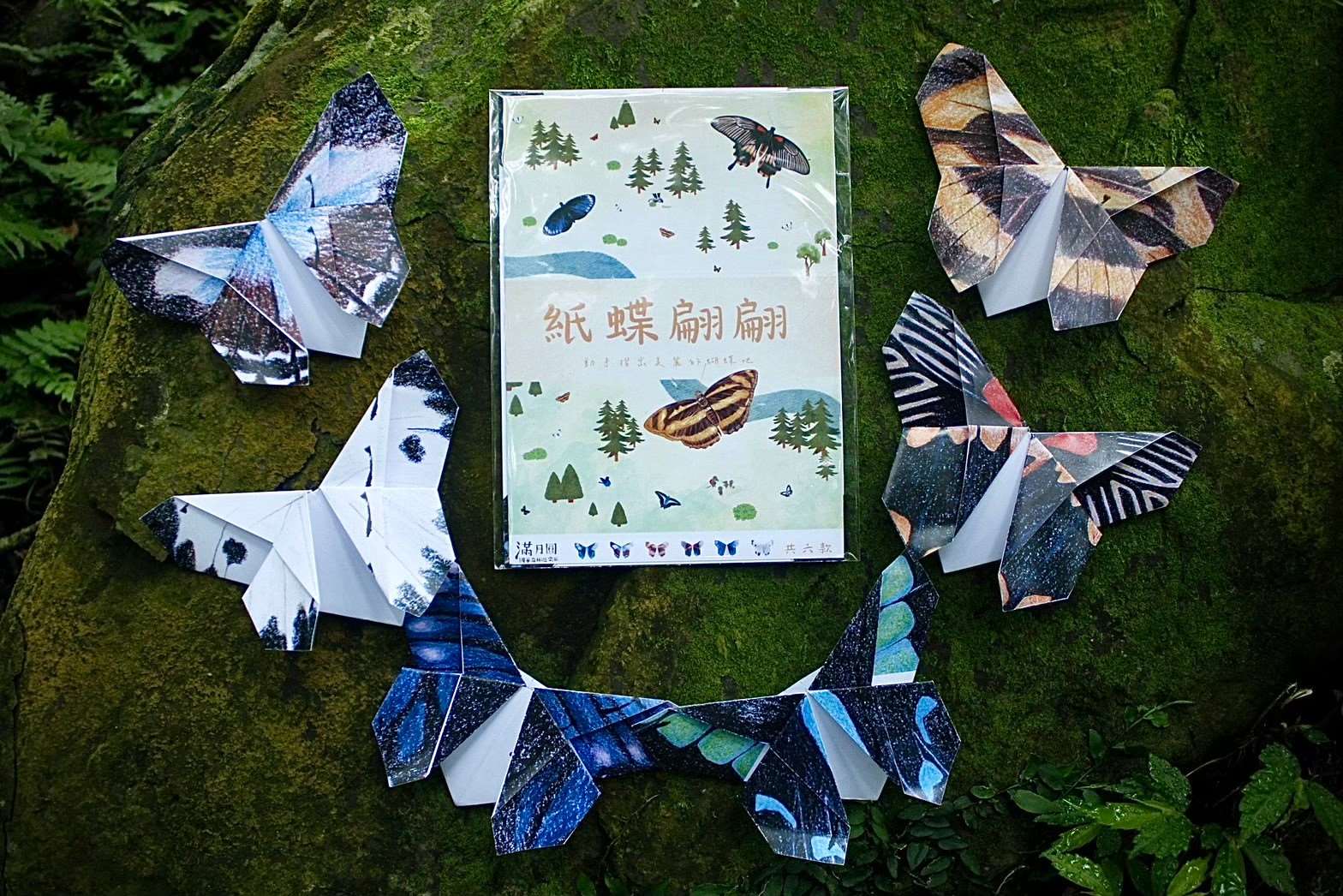 【紙蝶翩翩】材料包