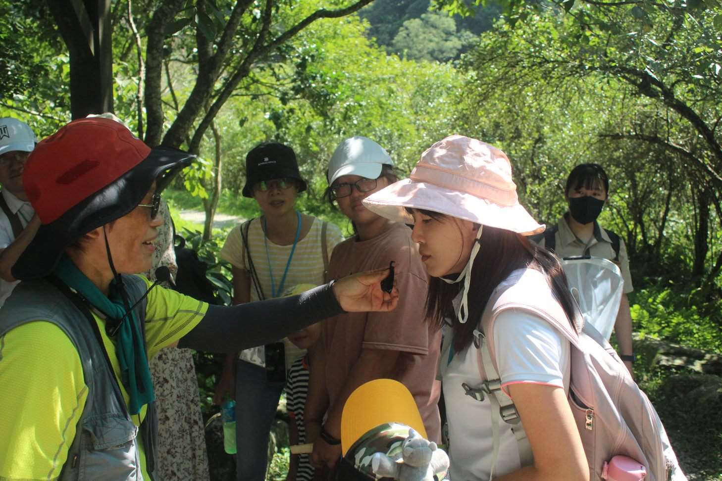 達人帶領認識蝴蝶生態