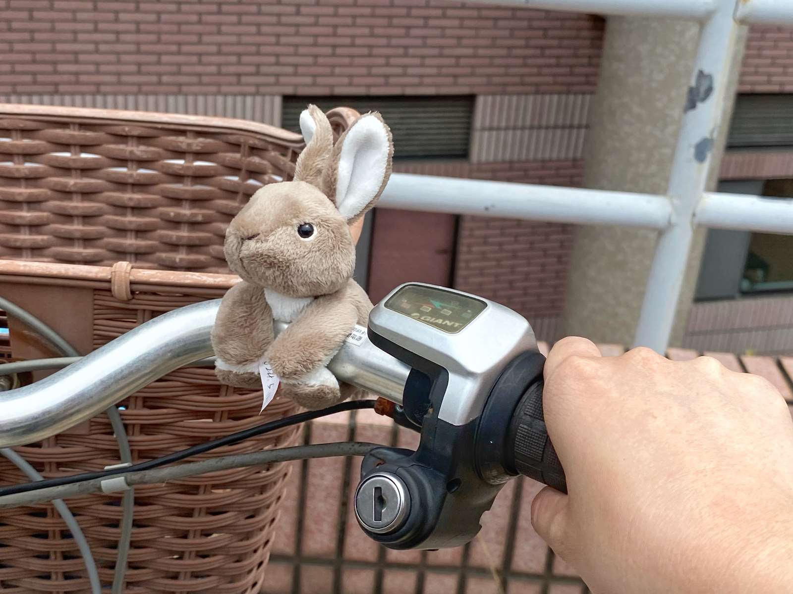 陪你一起去兜風的臺灣野兔磁吸式布偶