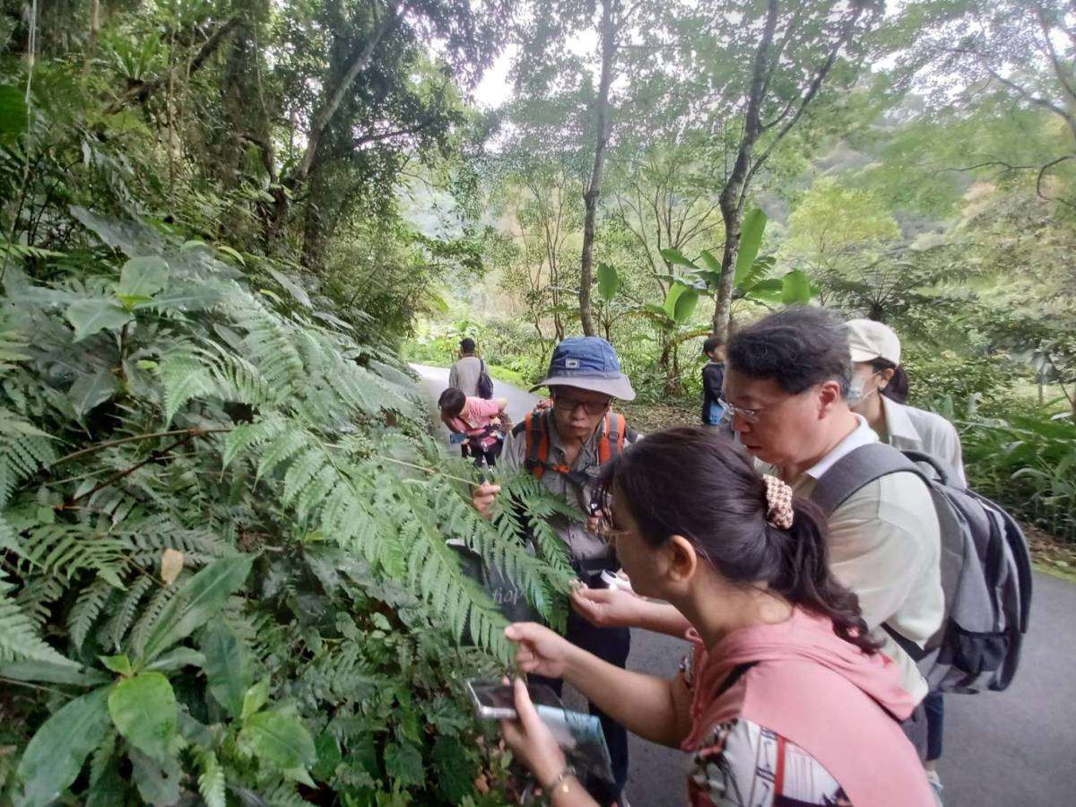 蕨類主題導覽，引導民眾近身觀察