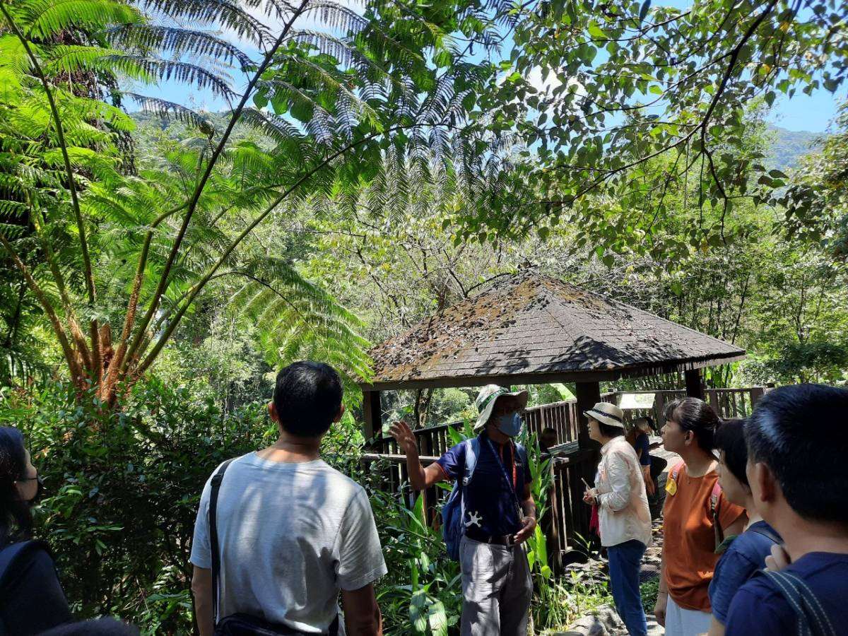 志工蕨類主題導覽