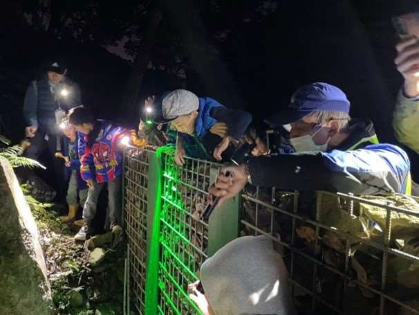 跟著達人的腳步一起尋找青蛙