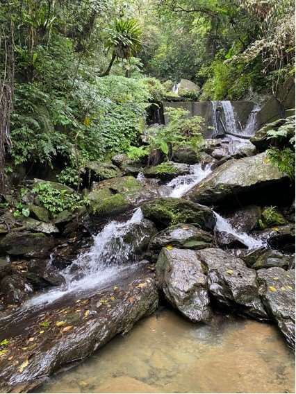 西坑林道一景