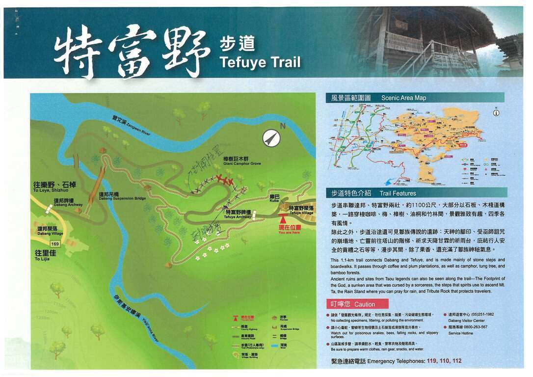 特富野步道樟樹段封閉區域