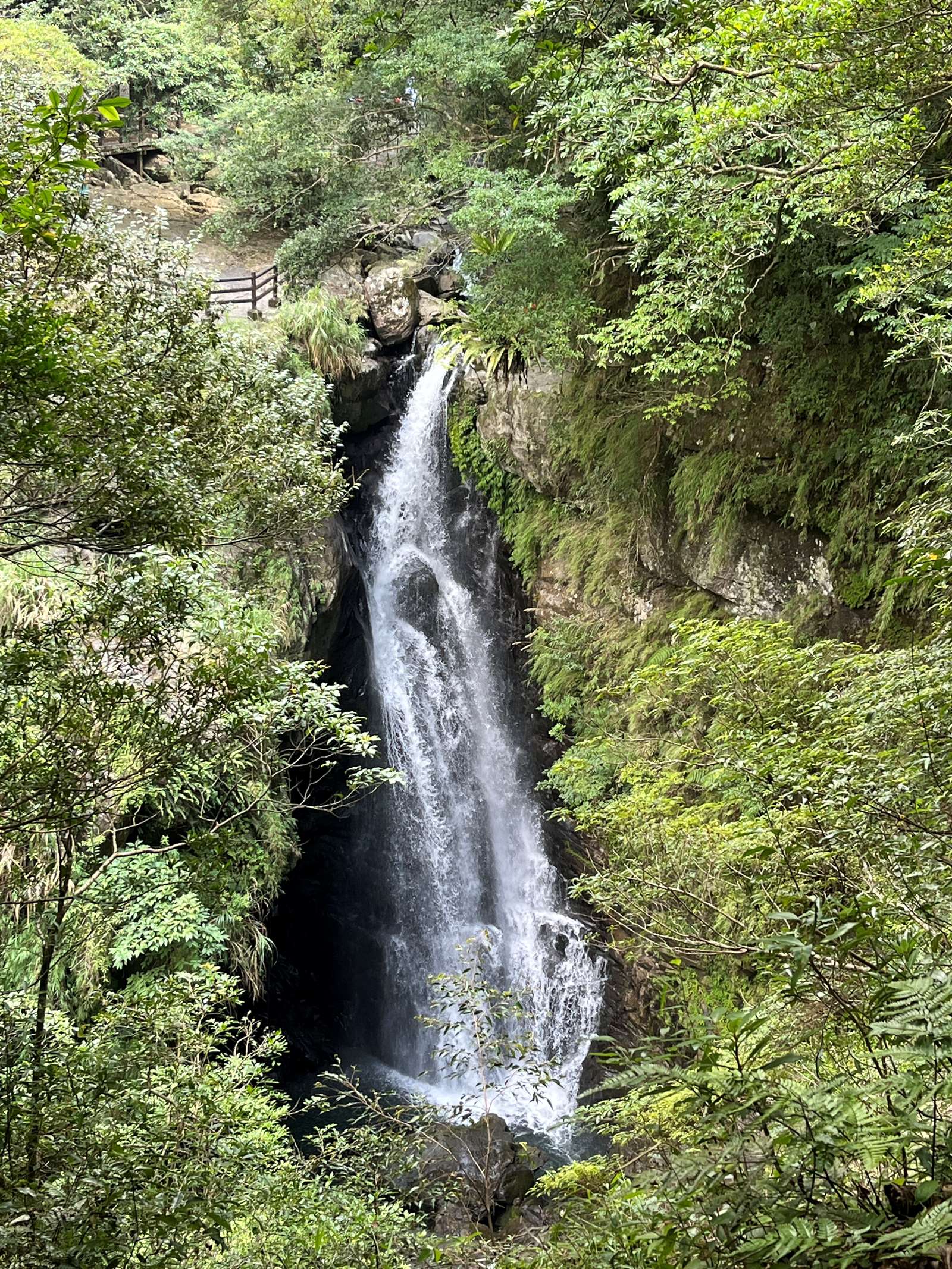 訊息公告- 台灣山林悠遊網