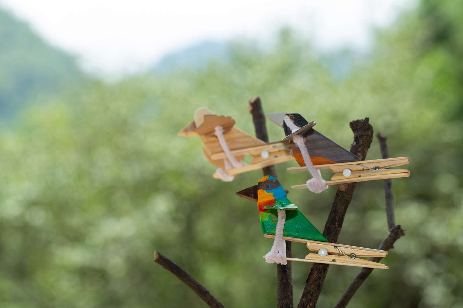 大雪山及八仙山國家森林遊樂區「飛鳥騎士總動員」木育DIY